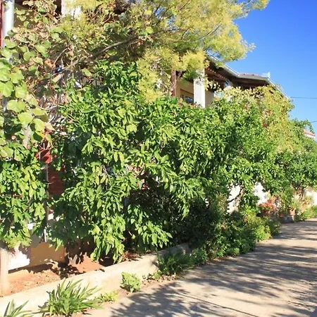 By The Sea - 8423 ウグリャン